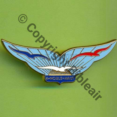 ECH  A1203 BA.742 ECHOUBOULAIN Maison des Ailes  FRAISSE Griffes et butees Dos lisse brillant Face cloisonnee Src.Y.GENTY 